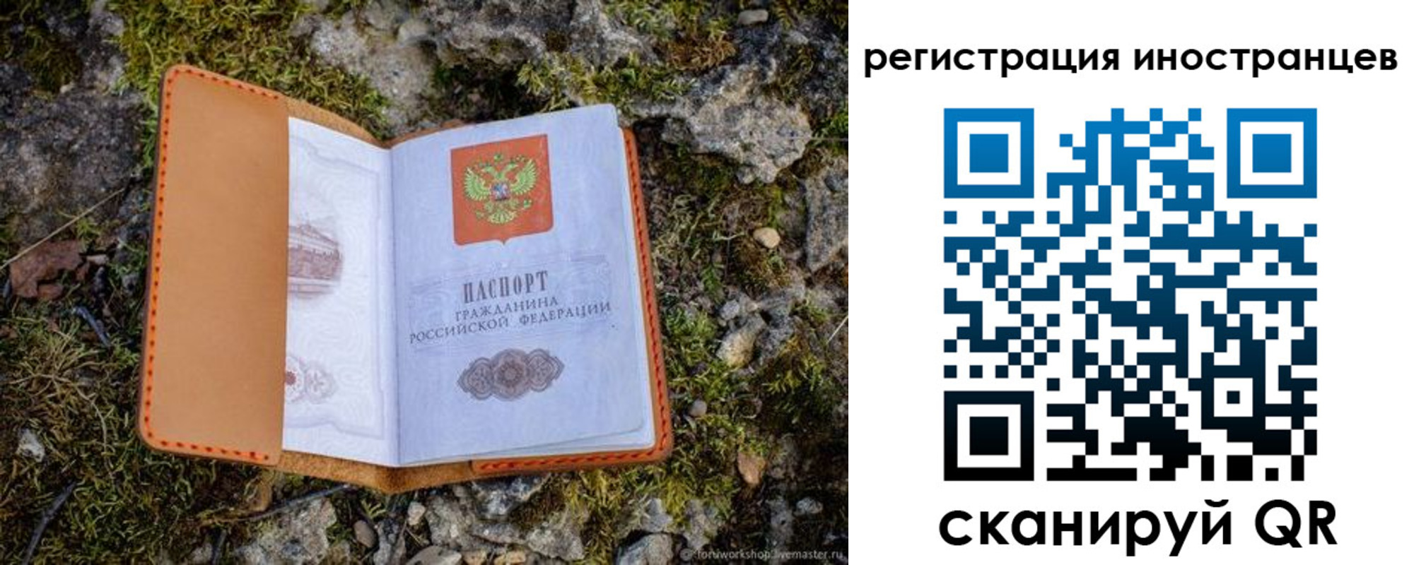 прописка паспорт в Змеиногорске